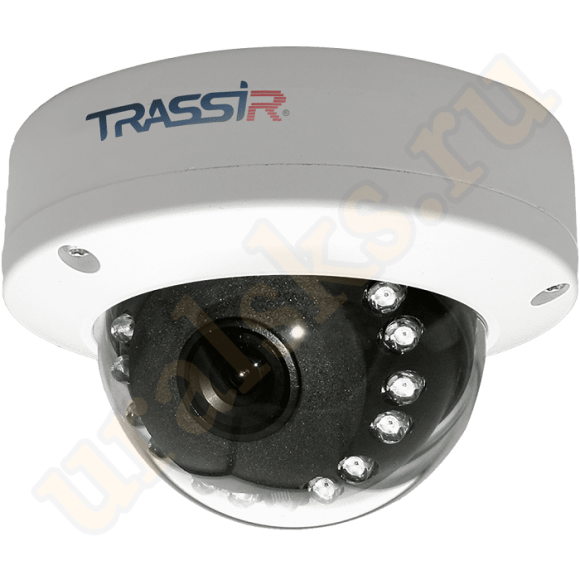 TR-D4D5 v2 3.6 IP-камера