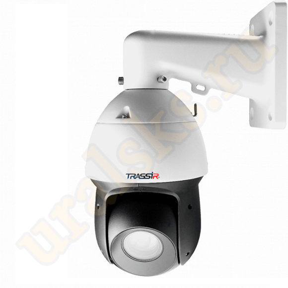 TR-D6224IR10 Поворотная IP-камера