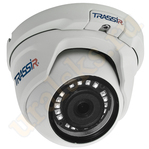 TR-D2S5 v2 3.6 IP-камера